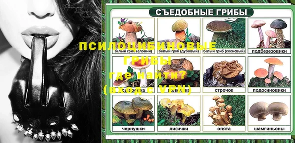 мяу мяу мука Баксан