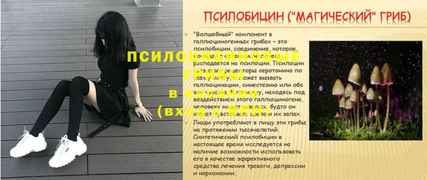 мяу мяу мука Баксан