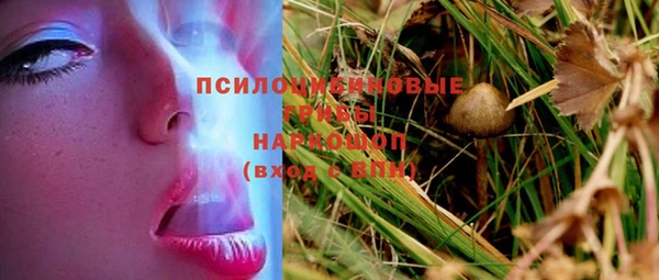 мяу мяу мука Баксан